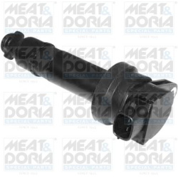 Ritė, uždegimas
                                MEAT &amp; DORIA                                                10582, Nenu