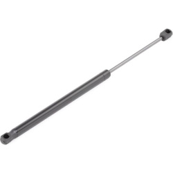 dujinė spyruoklė, gaubtas
                                RIDEX                                                514G0147, Ne