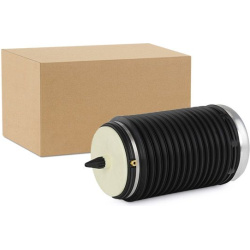 pneumatinė spyruoklė, pakaba
                                RIDEX                                                4119A0084