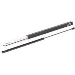 dujinė spyruoklė, gaubtas
                                RIDEX                                                514G0081, Ne