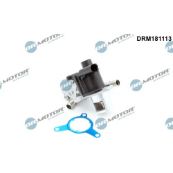 ERG vožtuvas
                                Dr.Motor Automotive                                                DRM181113, D