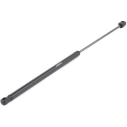 dujinė spyruoklė, gaubtas
                                RIDEX                                                514G0130, Ne