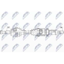 pusašis
                                NTY-SPEC                                                NPW-FR-141, NTY-SPEC, NPW-FR