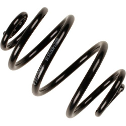spyruoklė BILSTEIN - B3 OE Replacement
                                                38-120008, BILSTEIN, 38-120008, auto 