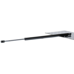 dujinė spyruoklė, bagažinė
                                RIDEX                                                219G0953,