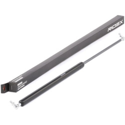 dujinė spyruoklė, bagažinė
                                RIDEX                                                219G0256,