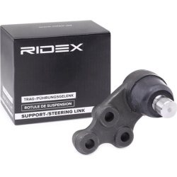 Šarnyras
                                RIDEX                                                2462S0381, Nenurodytas gaminto