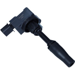 ritė, uždegimas
                                MAXGEAR                                                13-0255, MAXGEAR, 13