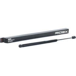 dujinė spyruoklė, gaubtas
RIDEX 514G0136, Ne