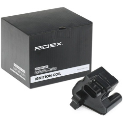 ritė, uždegimas
RIDEX 689C0350, Nenurodytas