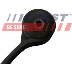 lakštinė lingė
                                FAST                                FT13377, FAST, FT13377, auto detalė