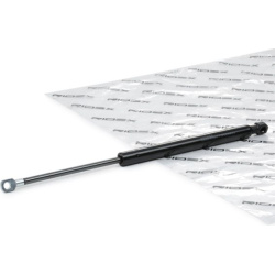 dujinė spyruoklė, bagažinė
                                RIDEX                                                219G1011,