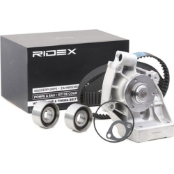 vandens siurblio ir paskirstymo diržo komplektas
                                RIDEX                                      