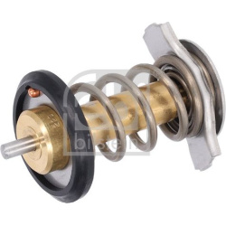 Termostatas, aušinimo skystis
                                FEBI BILSTEIN                                                1
