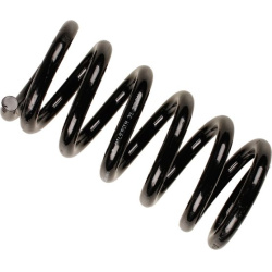 spyruoklė BILSTEIN - B3 OE Replacement
                                                36-201341, BILSTEIN, 36-201341, auto 