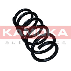 Spyruoklė
                                KAMOKA                                                2120500, KAMOKA, 2120500, au
