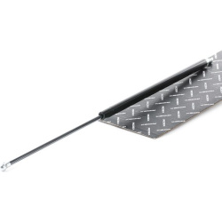 Dujinė spyruoklė, gaubtas
                                RIDEX                                                514G0078, Ne