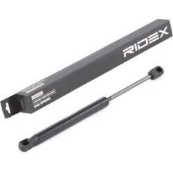 dujinė spyruoklė, bagažinė
                                RIDEX                                                219G0653,
