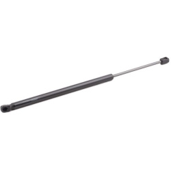 dujinė spyruoklė, bagažinė
                                RIDEX                                                219G1027,