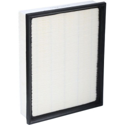 oro filtras
                                RIDEX                                                8A0650, Nenurodytas gamintoj