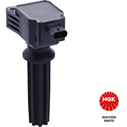 ritė, uždegimas
                                NGK                                                49098, NGK, 49098, auto 