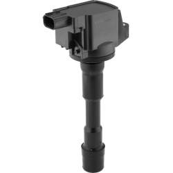 ritė, uždegimas
                                BorgWarner (BERU)                                                ZSE292, Bo