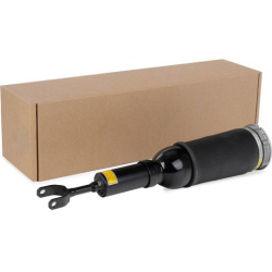 pneumatinės spyruoklės statramstis
                                RIDEX                                4118A0044, Nenurody