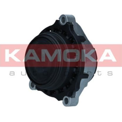 variklio montavimas
                                KAMOKA                                890953, KAMOKA, 890953, auto detal�