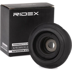 pakabos statramsčio atraminis guolis
                                RIDEX                                                11