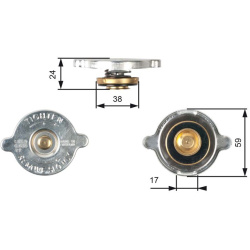radiatoriaus dangtelis
                                GATES                                                RC109, GATES, RC1