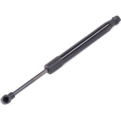Dujinė spyruoklė, bagažinė
                                RIDEX                                                219G0894,