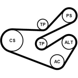 V formos rumbuotas diržas, komplektas
                                CONTINENTAL CTAM                                      