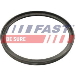 tarpiklis, turbinos oro žarna
                                FAST                                                FT49922, F