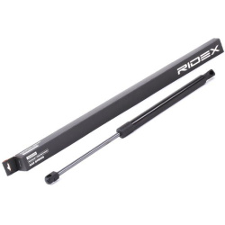 dujinė spyruoklė, bagažinė
                                RIDEX                                                219G0848,