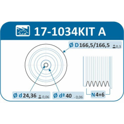 alkūninio veleno skriemulių rinkinys Technology &amp; Quality, Made in Spain
                                IJS GROUP     