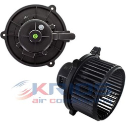 vidaus pūtiklis
                                MEAT &amp; DORIA                                                K92079, Nenu