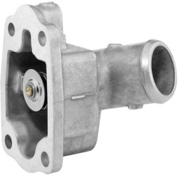 termostatas, aušinimo skystis
                                BorgWarner (Wahler)                                           