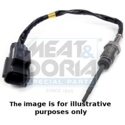 jutiklis, išmetamųjų dujų temperatūra
                                MEAT &amp; DORIA                                11