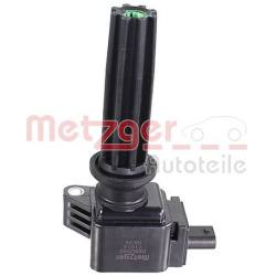 ritė, uždegimas
                                METZGER                                                0880545, Nenurodytas