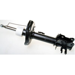 amortizatorius
                                DENCKERMANN                                                DSB262G, Nenurodyta