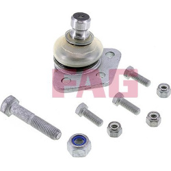 Šarnyras
                                Schaeffler FAG                                                825 0137 10, Nenurody