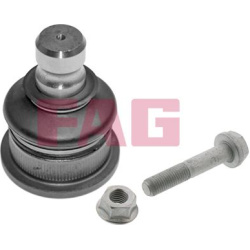 Šarnyras
                                Schaeffler FAG                                825 0168 10, Nenurodytas gamintojas, 