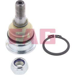 Šarnyras
                                Schaeffler FAG                                                825 0227 10, Nenurody