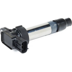 ritė, uždegimas
                                RIDEX                                                689C0434, Nenurodytas 