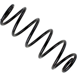 spyruoklė BILSTEIN - B3 OE Replacement
                                                36-261789, BILSTEIN, 36-261789, auto 