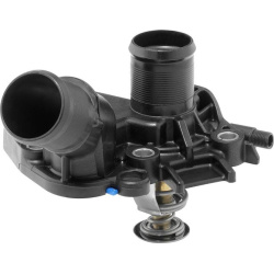 termostatas, aušinimo skystis
                                BorgWarner (Wahler)                                           
