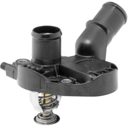 termostatas, aušinimo skystis
                                BorgWarner (Wahler)                                411025.89D,