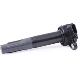 ritė, uždegimas
                                RIDEX                                                689C0398, Nenurodytas 