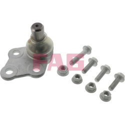 Šarnyras
                                Schaeffler FAG                                825 0126 10, Nenurodytas gamintojas, 