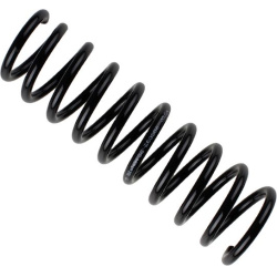 spyruoklė BILSTEIN - B3 OE Replacement
                                                36-268306, BILSTEIN, 36-268306, auto 